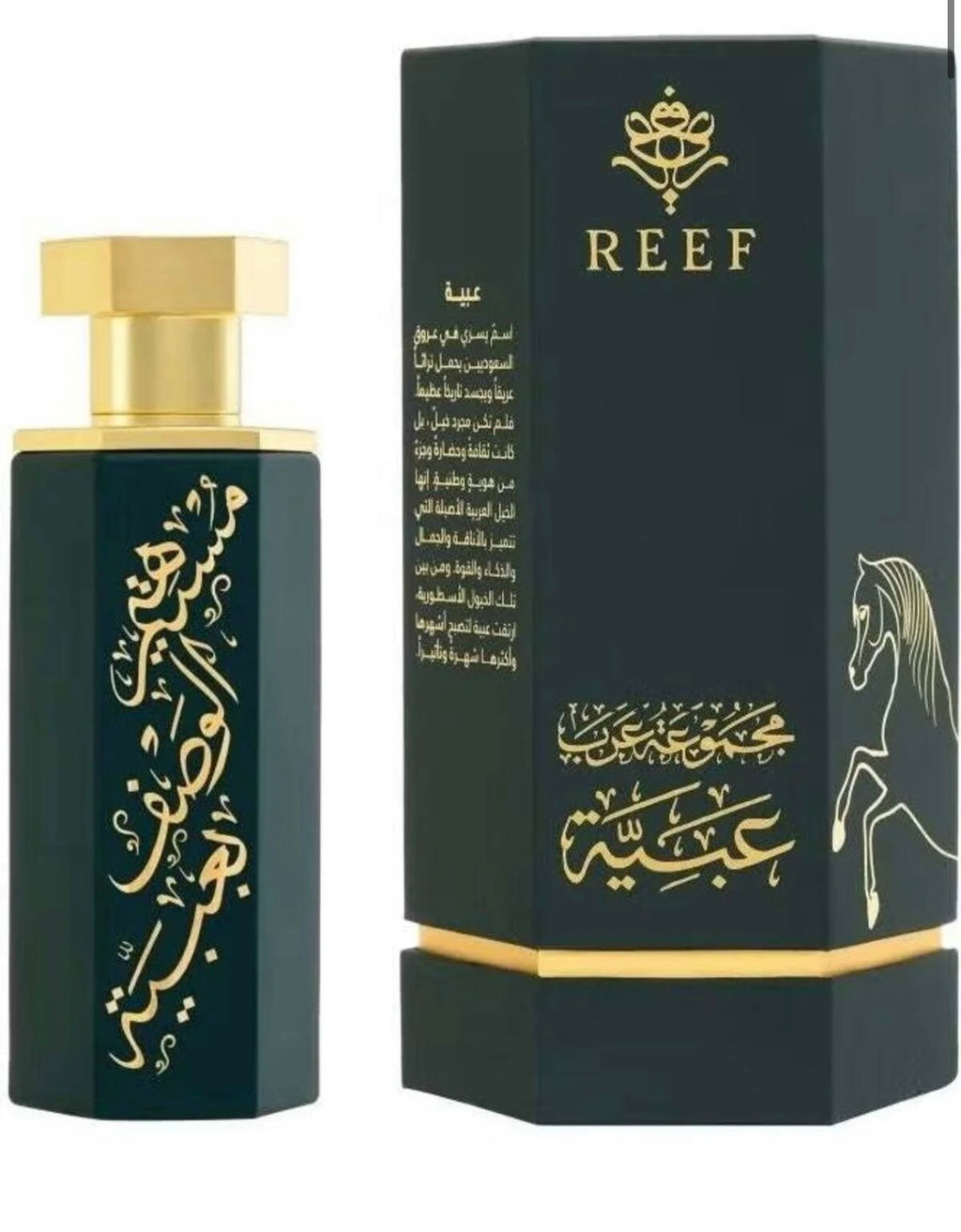 REEF ARAB OBAYA